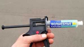 Как да се справяте с насекоми, които се появяват от влага